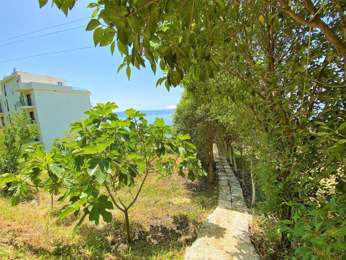 Ramo'S Cozy Beachside Haven With Panoramic Views - 2Nd Vlore Bagian luar foto